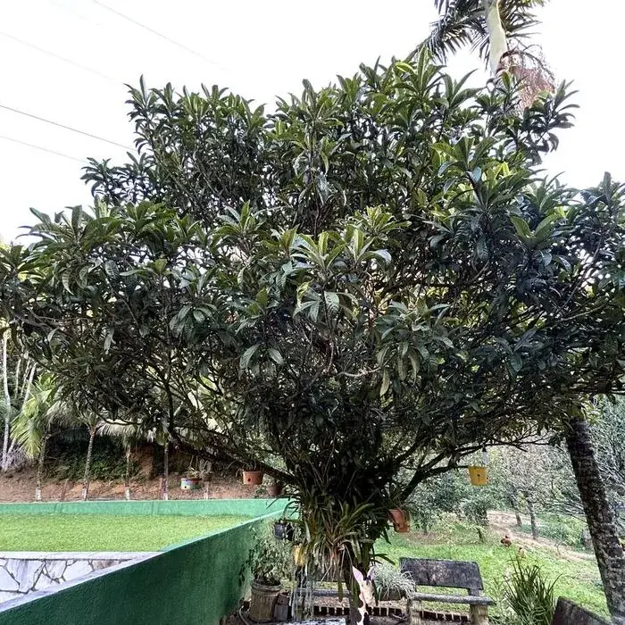 Área de descanso do Sítio dos Sonhos