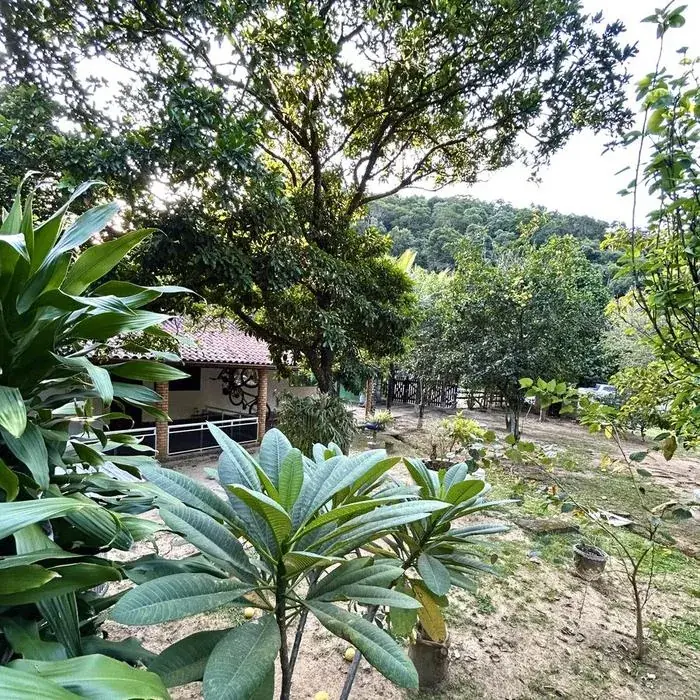 Área verde do Sítio dos Sonhos, cercada por Mata Atlântica