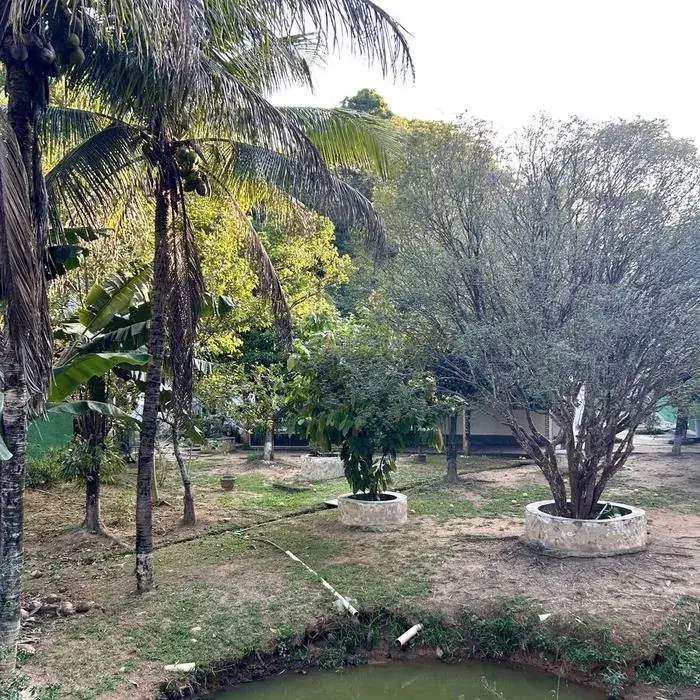 Lago do Sítio dos Sonhos