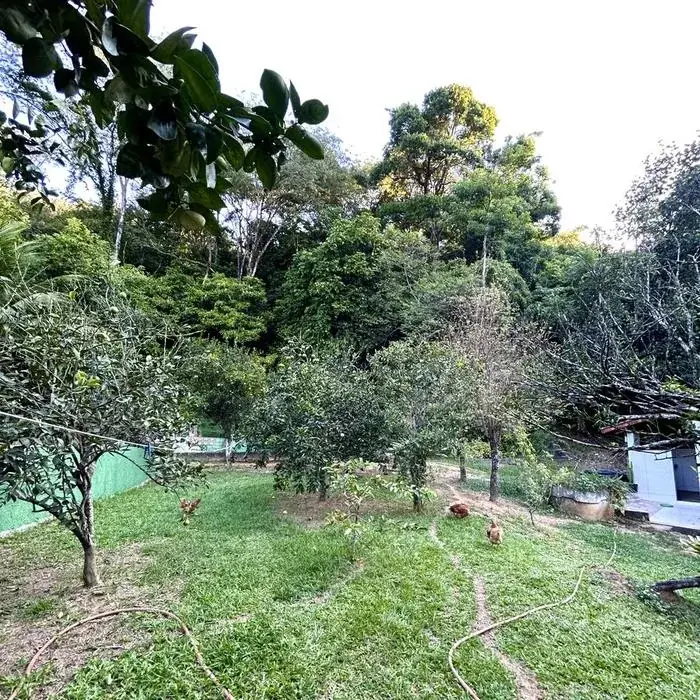 Pomar do Sítio dos Sonhos, em área de Mata Atlântica